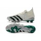Adidas Predator Freak .1 Low AG Soccer Cleats White Green