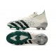 Adidas Predator Freak.1 FG Soccer Cleats Gray Black