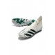 Adidas Predator Freak.1 Eqt AG Crystal White Core Black Sub Green Soccer Cleats