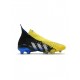 Adidas Predator Freak FG Bright Yellow Silver Metallic Core Black Soccer Cleats