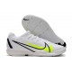 Nike Zoom Vapor 14 Pro IC Soccer Cleats White And Gold