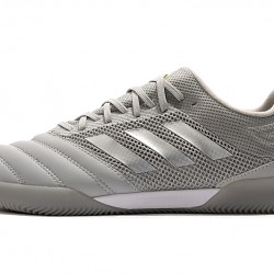 Adidas Copa 20.1 IN Grey Silver 39-45