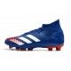 Adidas Predator Mutator 20.1 AG Blue Red White 39-45