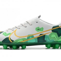 Nike Dream Speed Mercurial Vapor Academy AG White Green 39-45