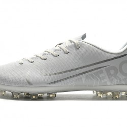 Nike Dream Speed Mercurial Vapor Academy AG White Silver 39-45